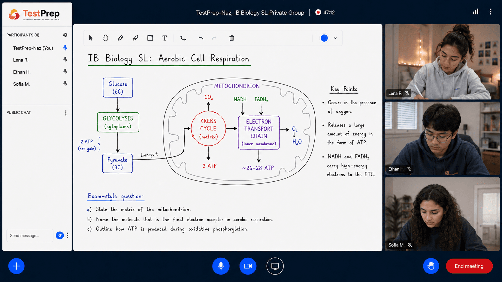 A cellular respiration diagram being explained in a live IB Biology lesson